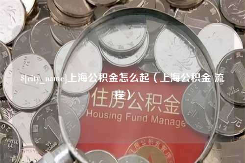 梨树县上海公积金怎么起（上海公积金 流程）